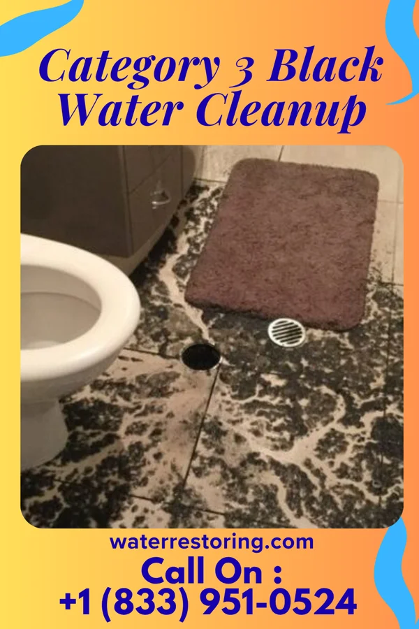 Category 3 Black Water Cleanup in Maysville, IA